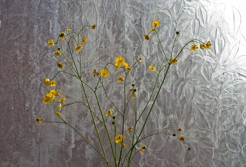 © Roxana and Pablo Allison, from the series, Operation Jurassic