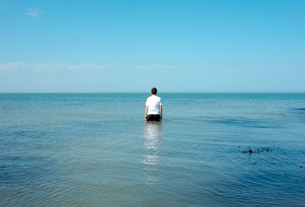 © Roxana and Pablo Allison, from the series, Operation Jurassic