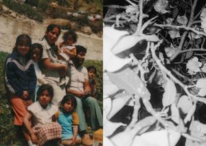 Joseph Ladron de Guevara on Love Amidst Mortality