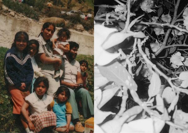 Joseph Ladron de Guevara on Love Amidst Mortality