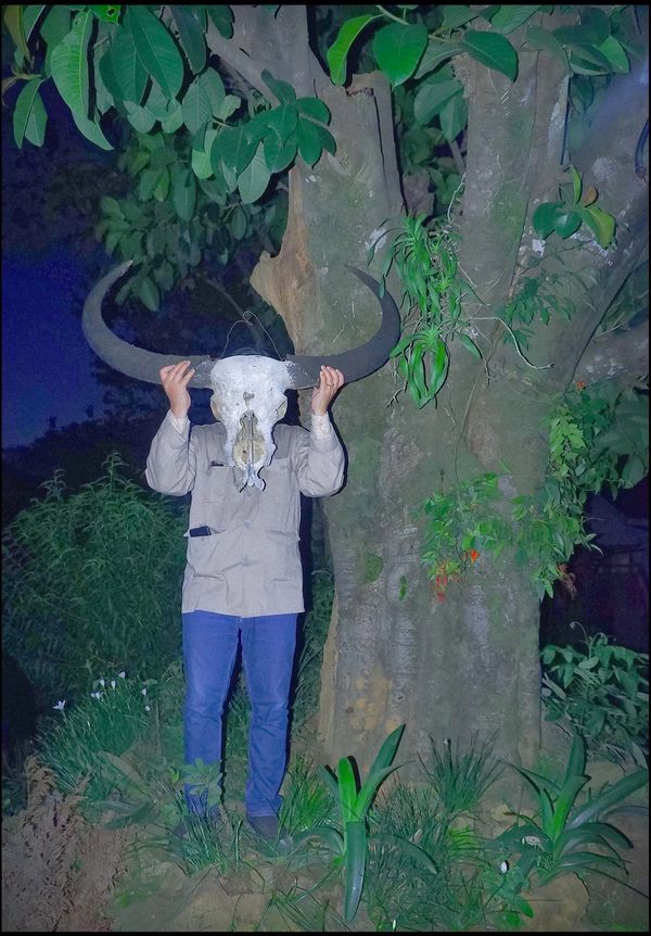 What Objects Say About Us