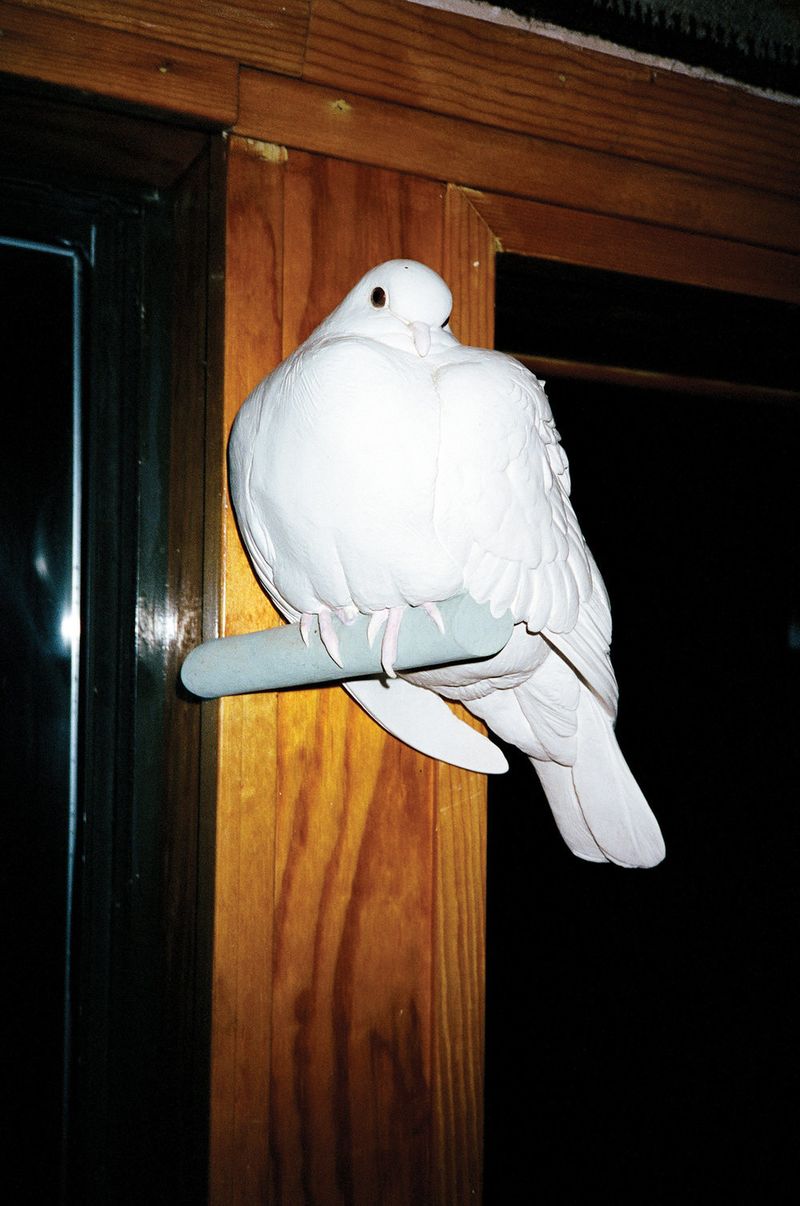 © Christian Michael Filardo, from the series Selections From Arroyo Teardrop