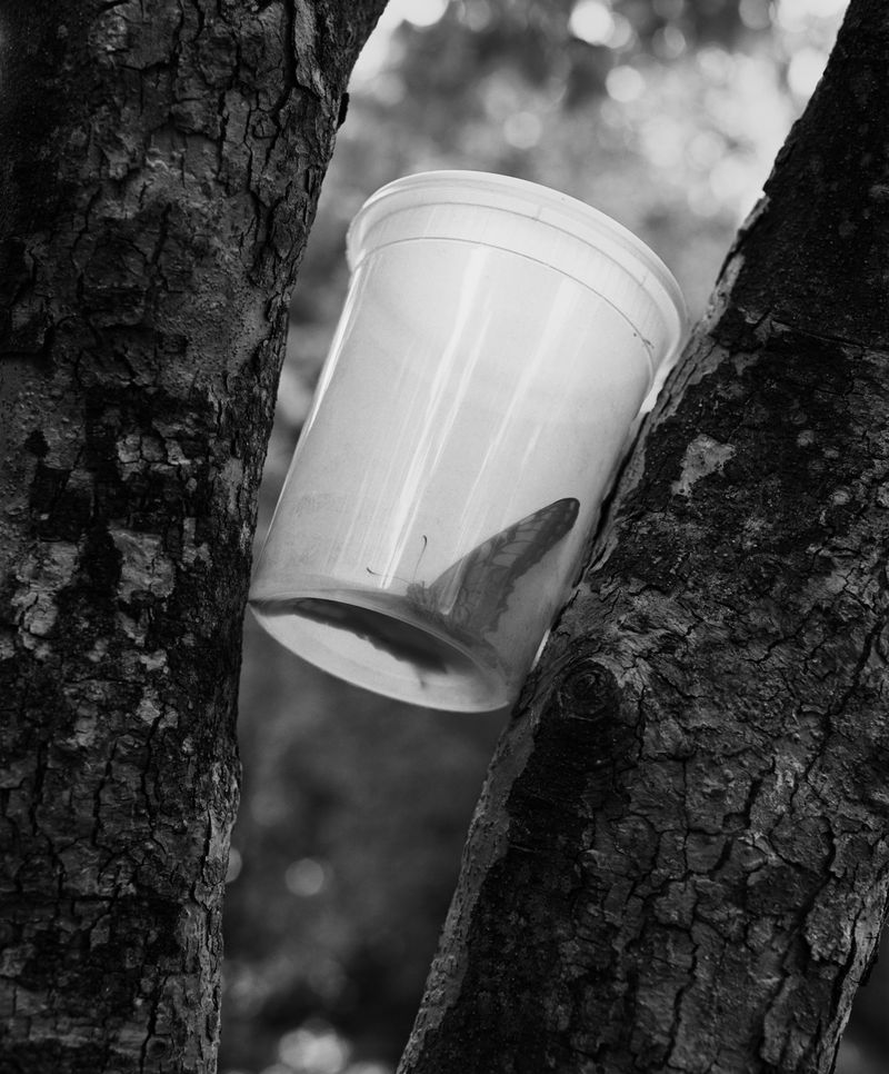 © Matt Eich, from the series, Will You Be Mine?