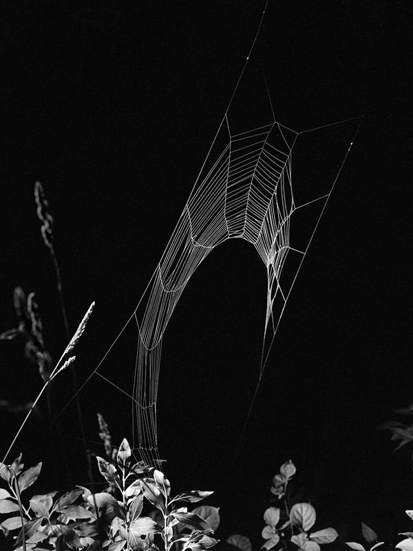 © Dylan Hausthor Paul Guilmoth, from the series Sleep Creek