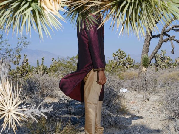 Between Finding Indian Roots and a New American Identity