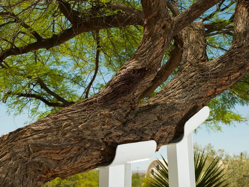 Christopher Valentine's Perspective on Humans' Power over Nature