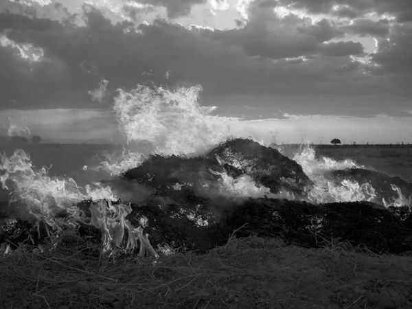 Portraits of Transition: Sara Abbaspour’s Poetic View On Iran