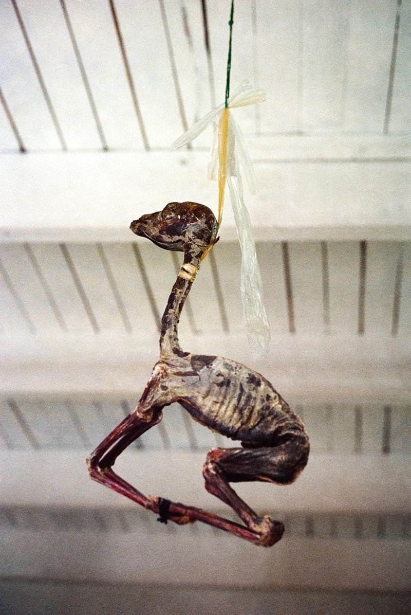 Inherited Shadows: Marisol Mendez's Journey Through Masculinity and Its Haunting Legacy