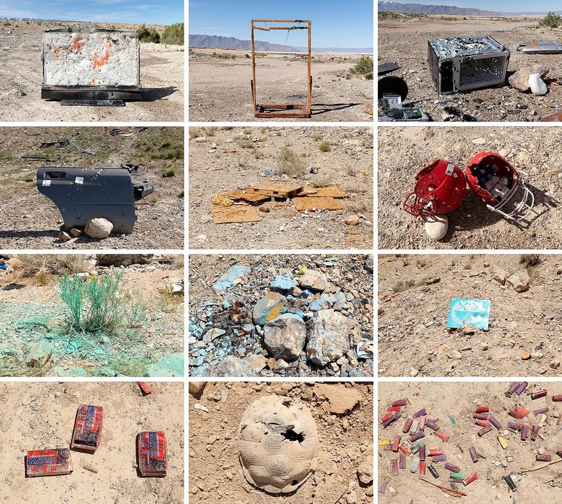 Jaclyn Wright: Ecological and Historical Frontiers of the American West