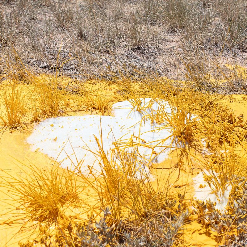 Amy Kim’s West Texas: Landscapes of Labor, Symbols, and Change