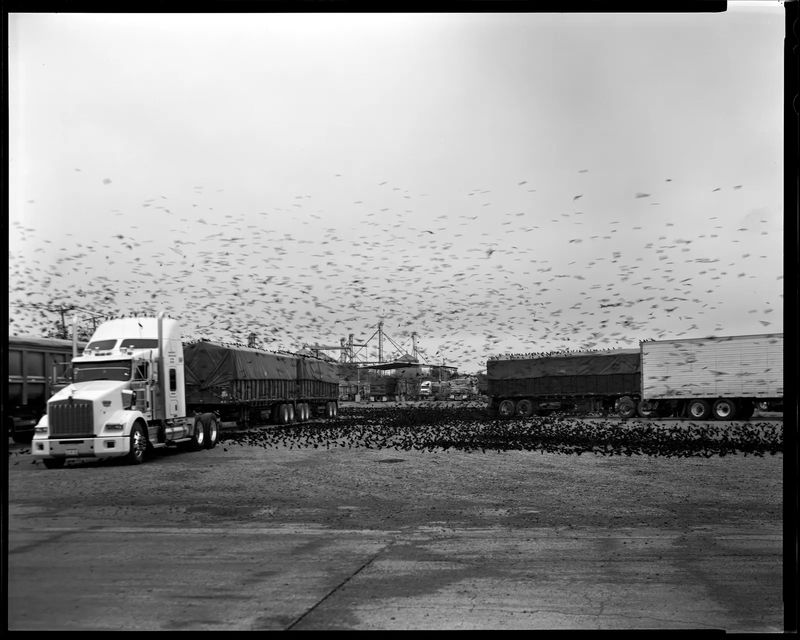 Through the Border, Through Their Eyes: Lisa Elmaleh on the Humanity of Migration