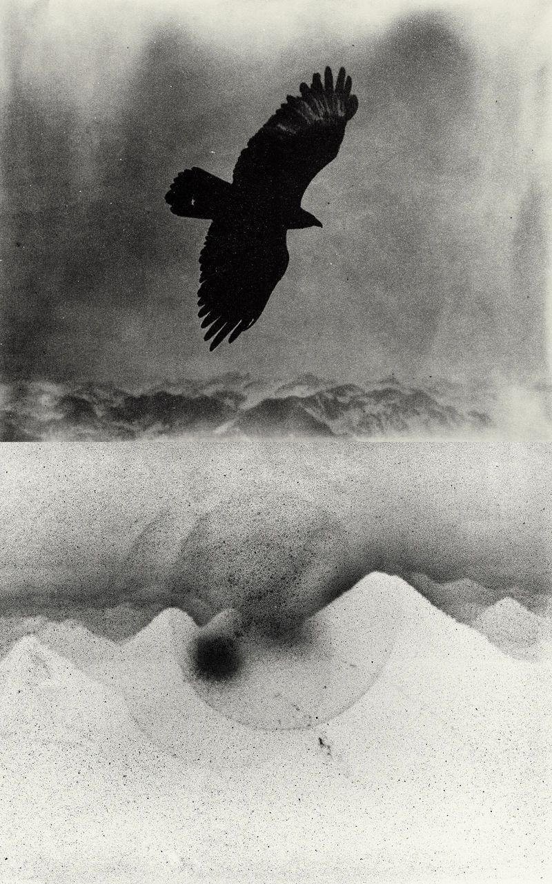 Zekun Wang Transforming Memory And Imagination