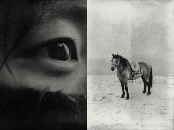 Zekun Wang Transforming Memory And Imagination