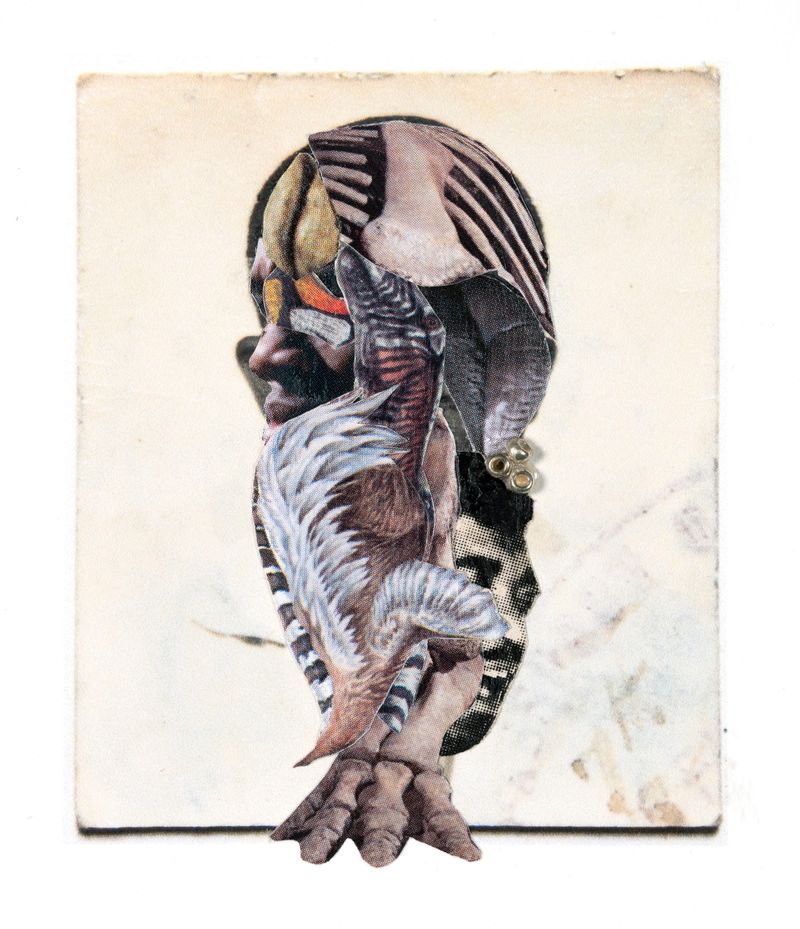 A Passport To Belonging: Keisha Scarville's Counter-Narratives On Migration