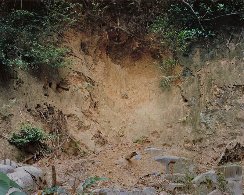 Unveiling Humanity: Allie Tsubota’s 'Dead Letter Room' Through History and Imagination