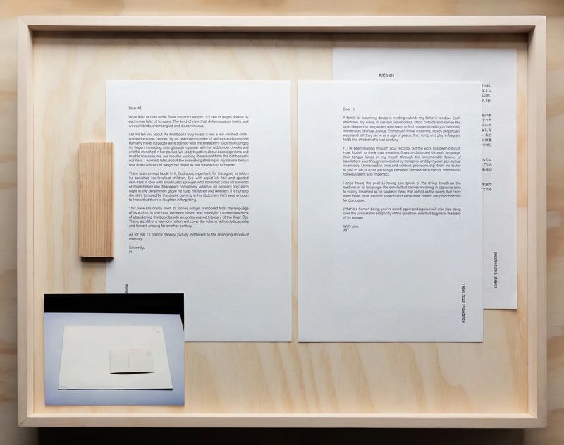 Unveiling Humanity: Allie Tsubota’s 'Dead Letter Room' Through History and Imagination