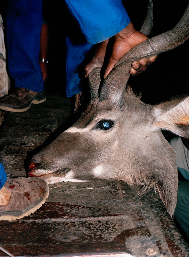 A Personal Journey into the Soul of South Africa