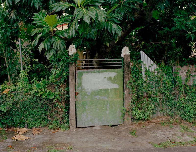 Cédrine Scheidig Captures the Essence of Contemporary Caribbean Identity