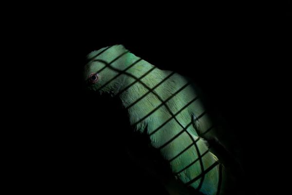 © Sumi Anjuman, from the series Somewhere Else Than Here