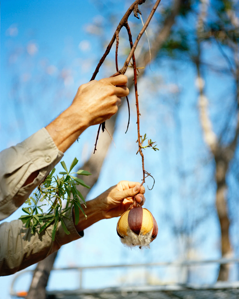 A Personal Tale of Fragmented Memories and Identity