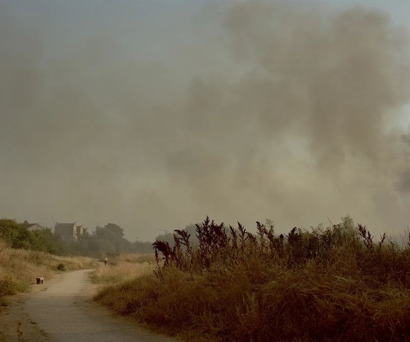 Polly Tootal’s Searing City of Inequalities