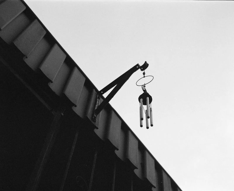 Laila Annmarie Stevens Reflects on the Legacy of Black Women and Black Communities