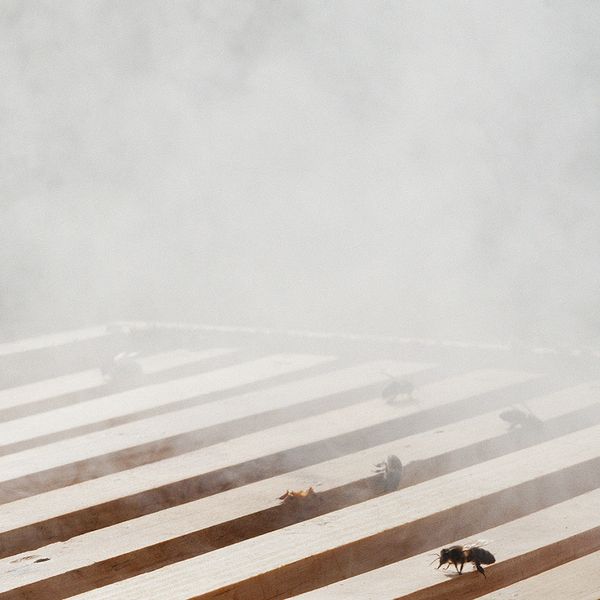 © Fiona Filipidis, from the series To Make a Prairie