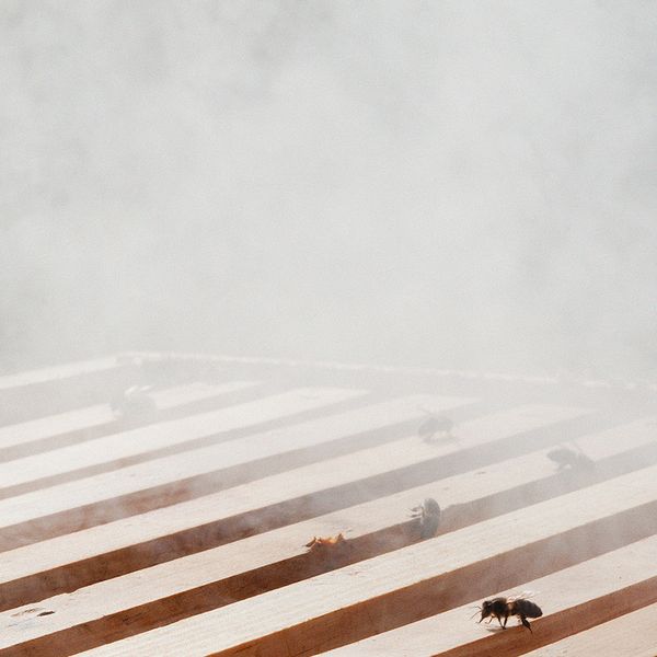 © Fiona Filipidis, from the series To Make a Prairie