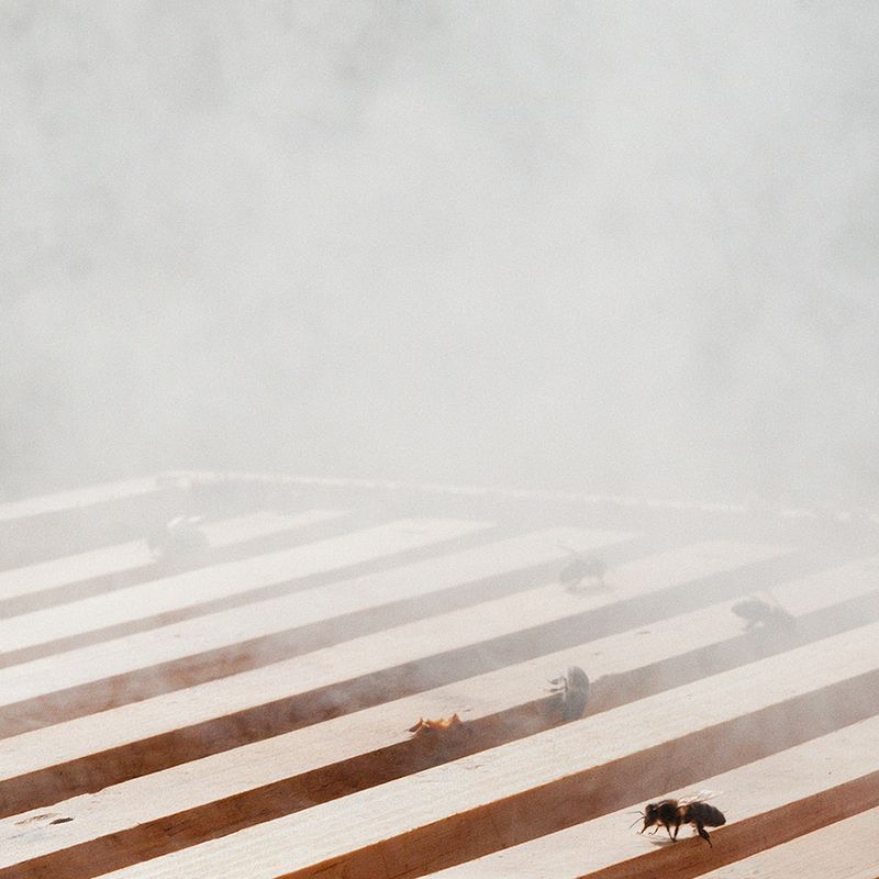 © Fiona Filipidis, from the series To Make a Prairie