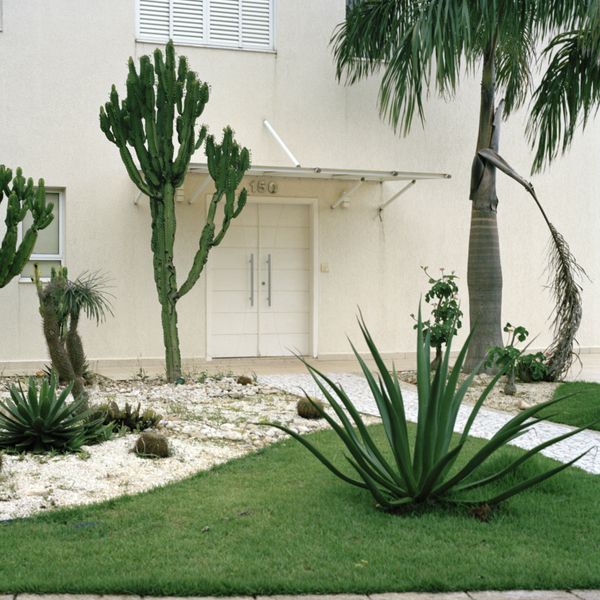 © Giovana Schluter, from the series, Paradise Garden