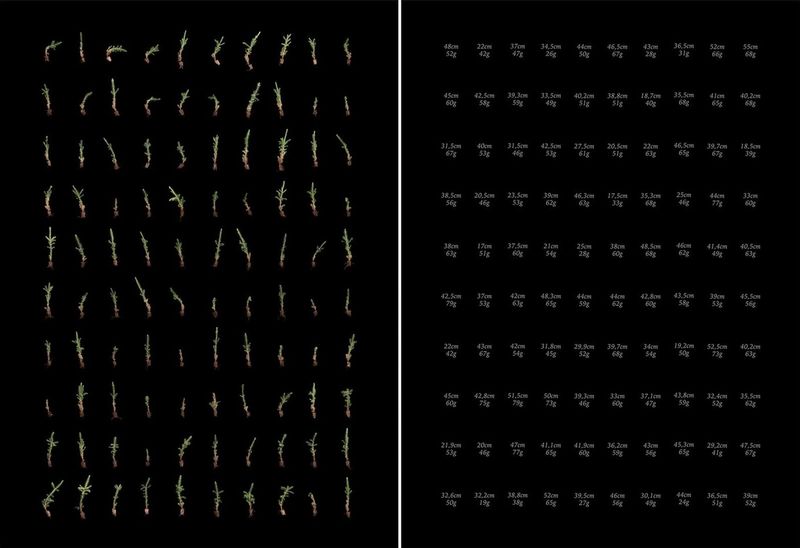 © Jaakko Kahilaniemi, from the series, 100 Hectares of Understanding