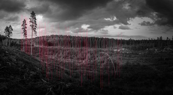 © Jaakko Kahilaniemi, from the series, 100 Hectares of Understanding
