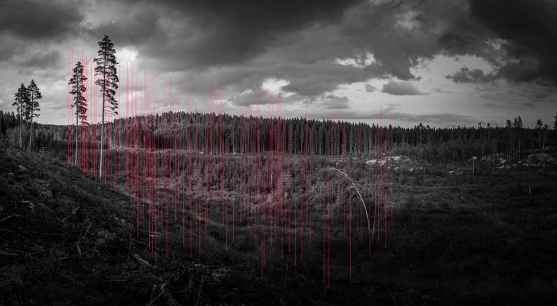 © Jaakko Kahilaniemi, from the series, 100 Hectares of Understanding