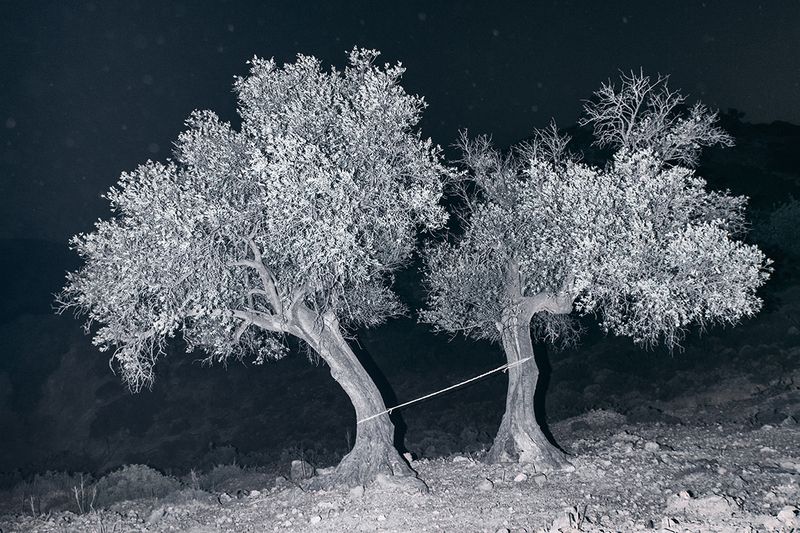 © Yorgos Yatromanolakis, from the series The Splitting of the Chrysalis & the Slow Unfolding of the Wings