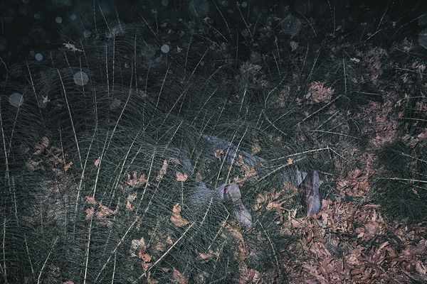 © Yorgos Yatromanolakis, from the series The Splitting of the Chrysalis & the Slow Unfolding of the Wings