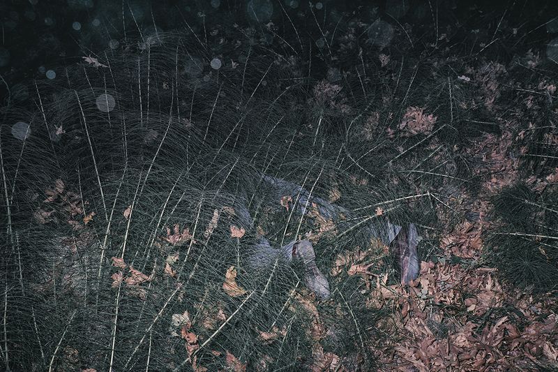 © Yorgos Yatromanolakis, from the series The Splitting of the Chrysalis & the Slow Unfolding of the Wings