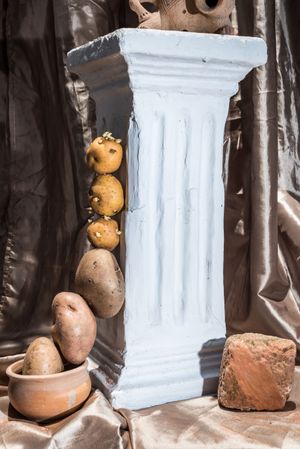 in the beginning was the sea