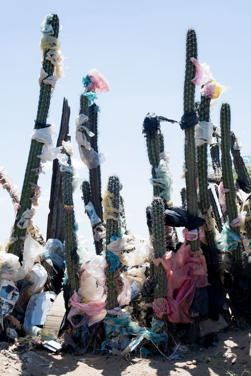 © Raisa Galofre - Image from the in the beginning was the sea photography project