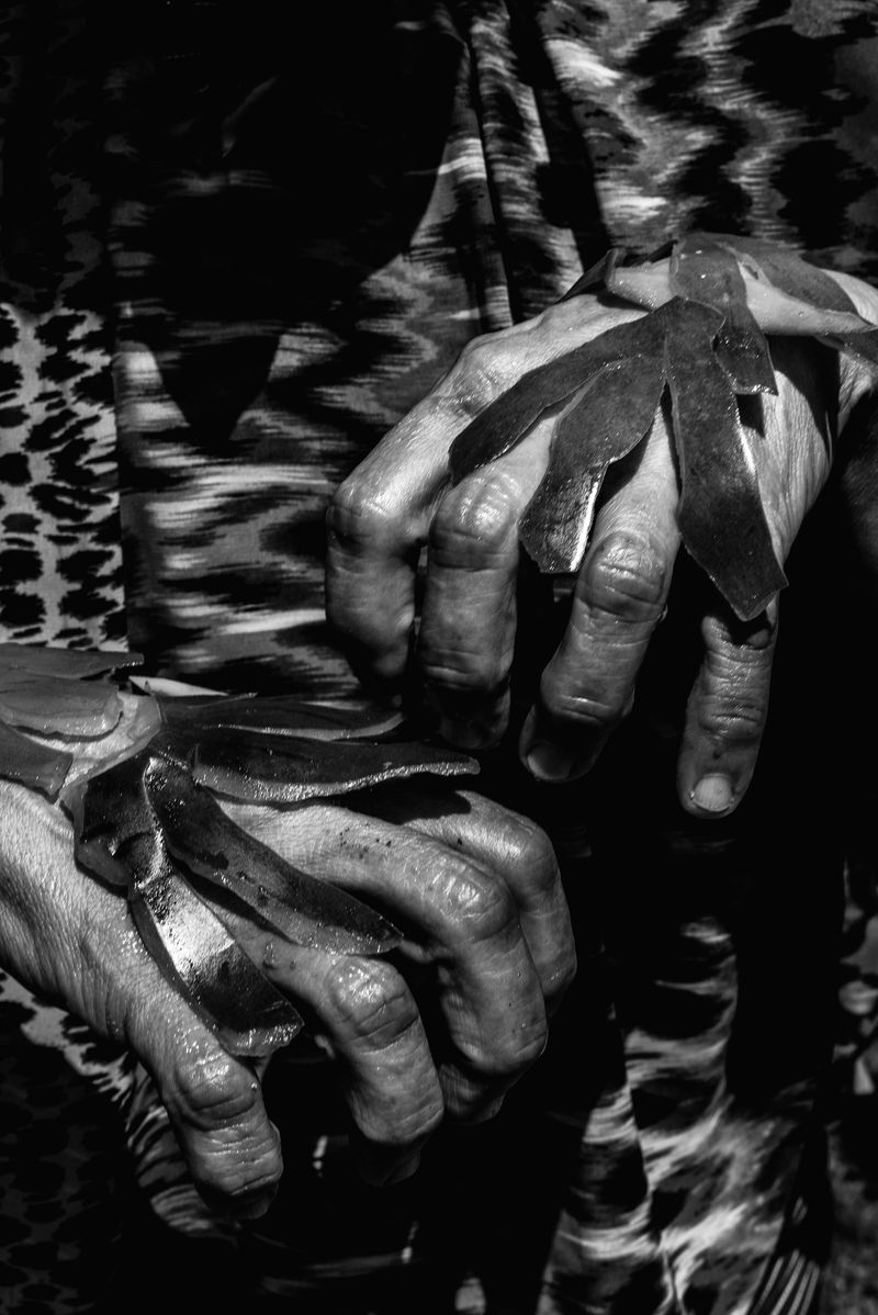 © Raisa Galofre - Image from the in the beginning was the sea photography project