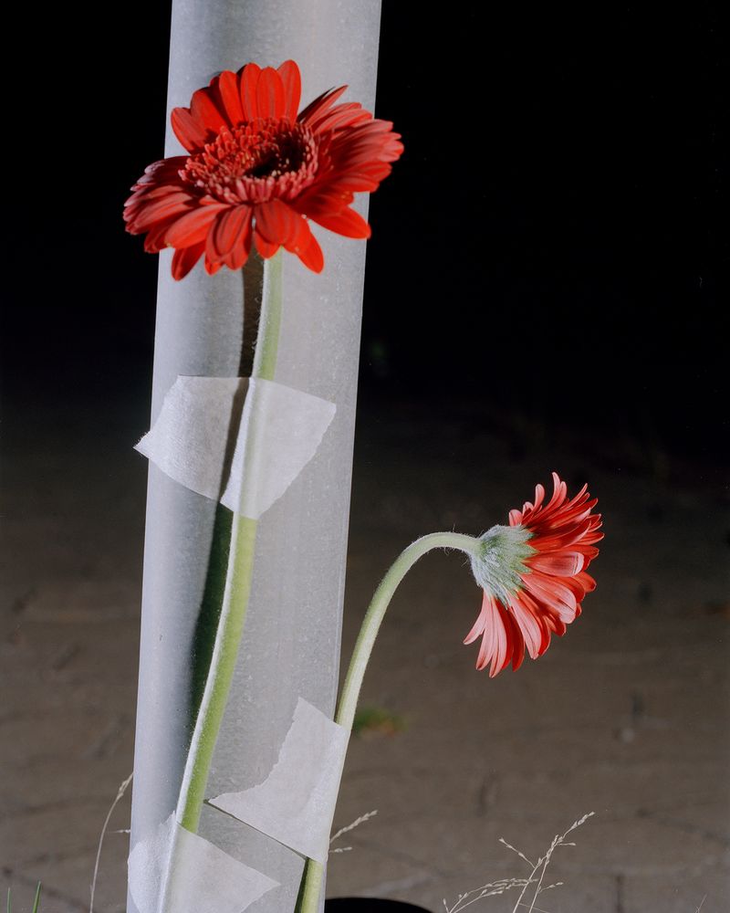 © Henri Airo - Image from the Probable Cause photography project