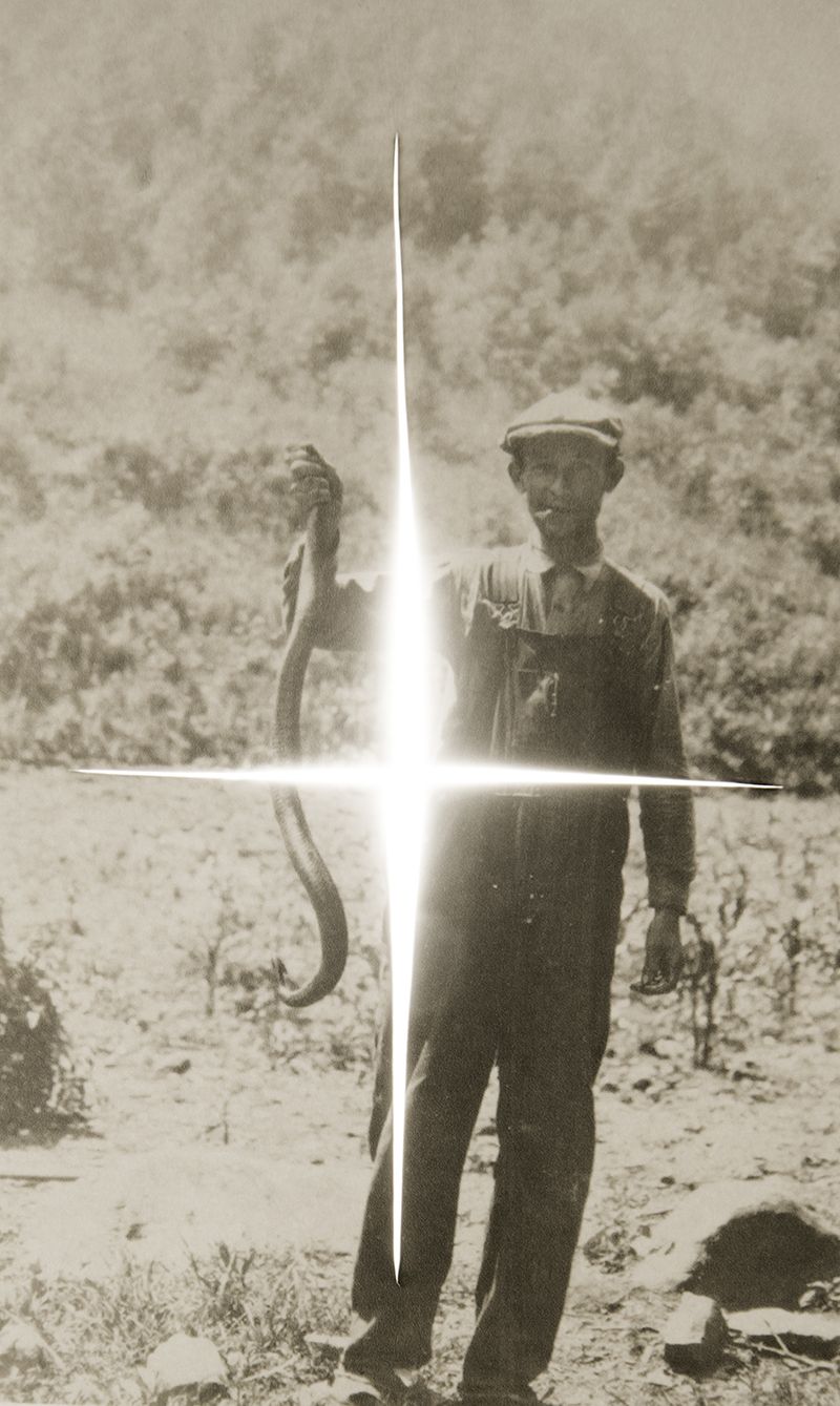 © Amy Friend - Snake oil