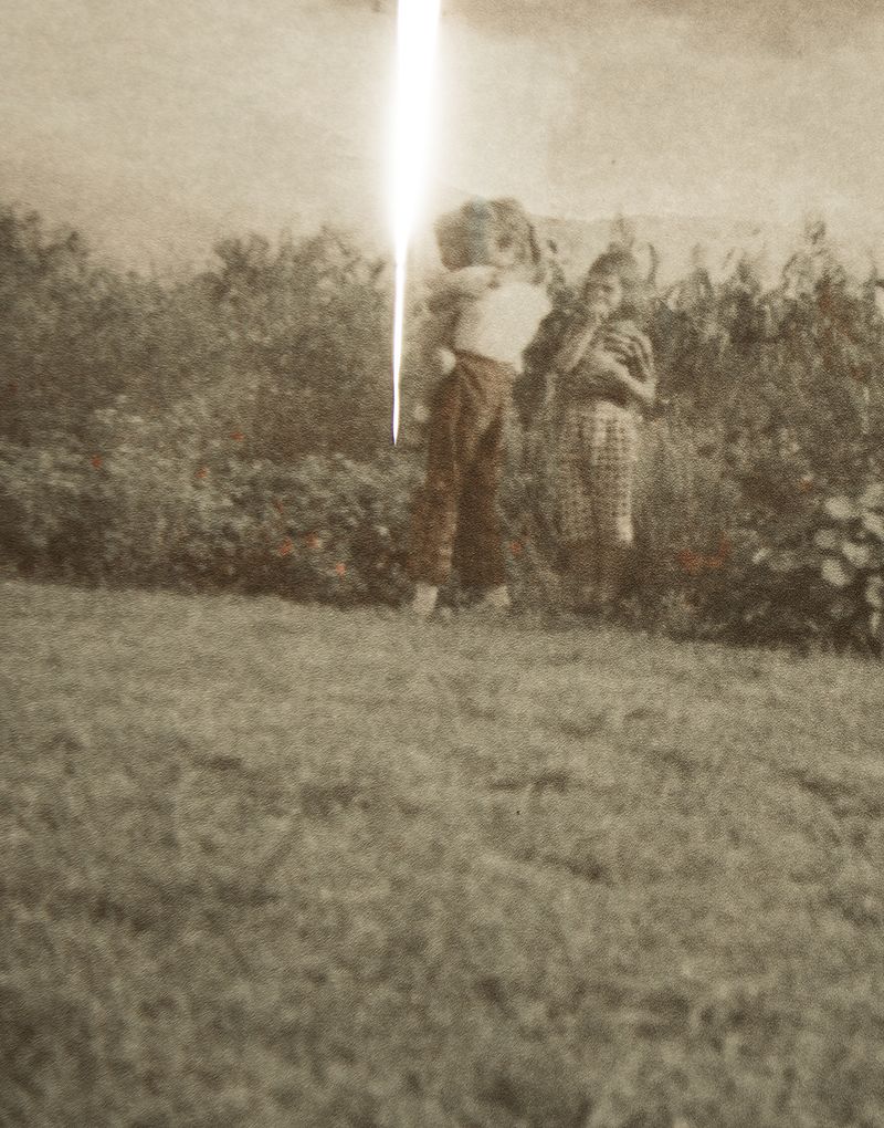 © Amy Friend - Do you see what I see?