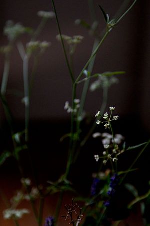 The quality of dreams