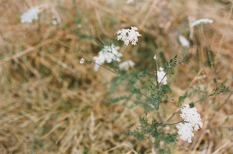 © Caterina Sansone - Image from the The quality of dreams photography project