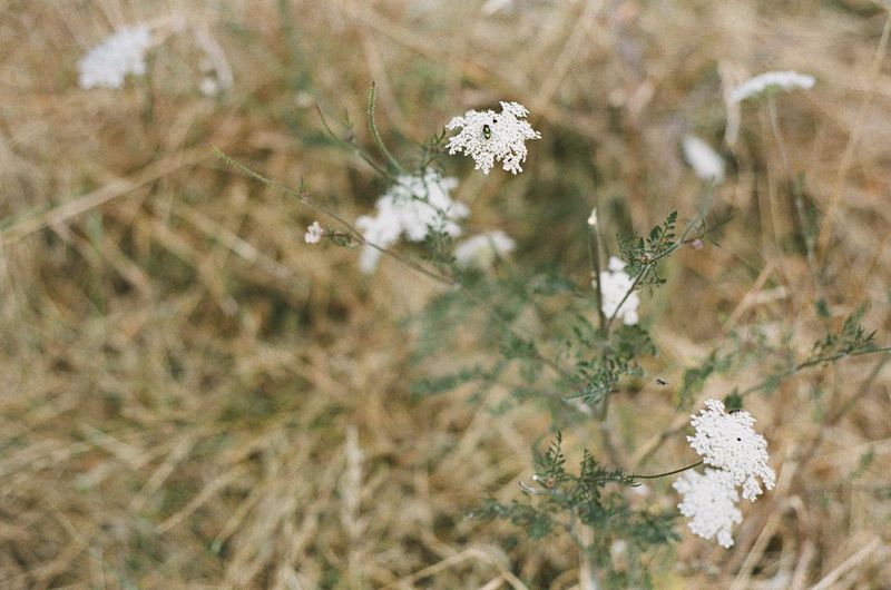 © Caterina Sansone - Image from the The quality of dreams photography project