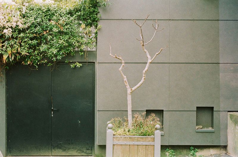 © Caterina Sansone - Image from the The quality of dreams photography project