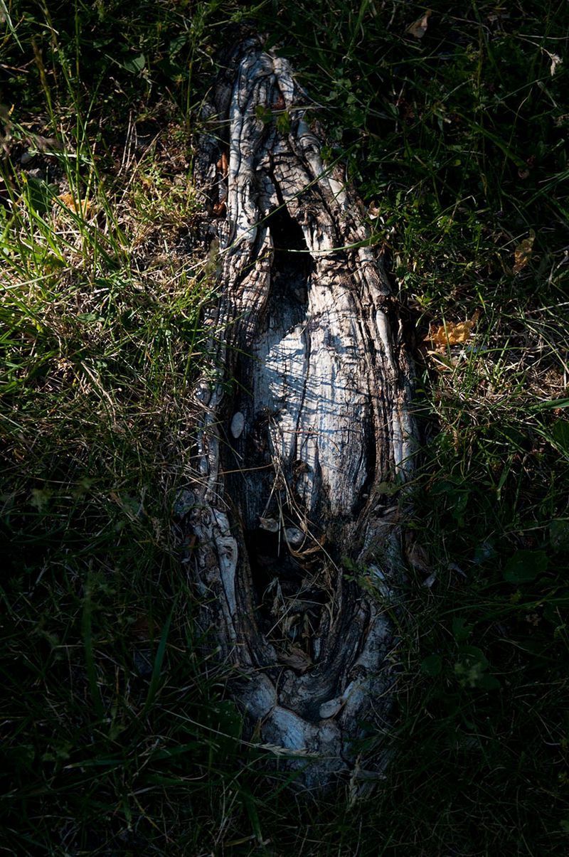 © Caterina Sansone - Image from the The quality of dreams photography project