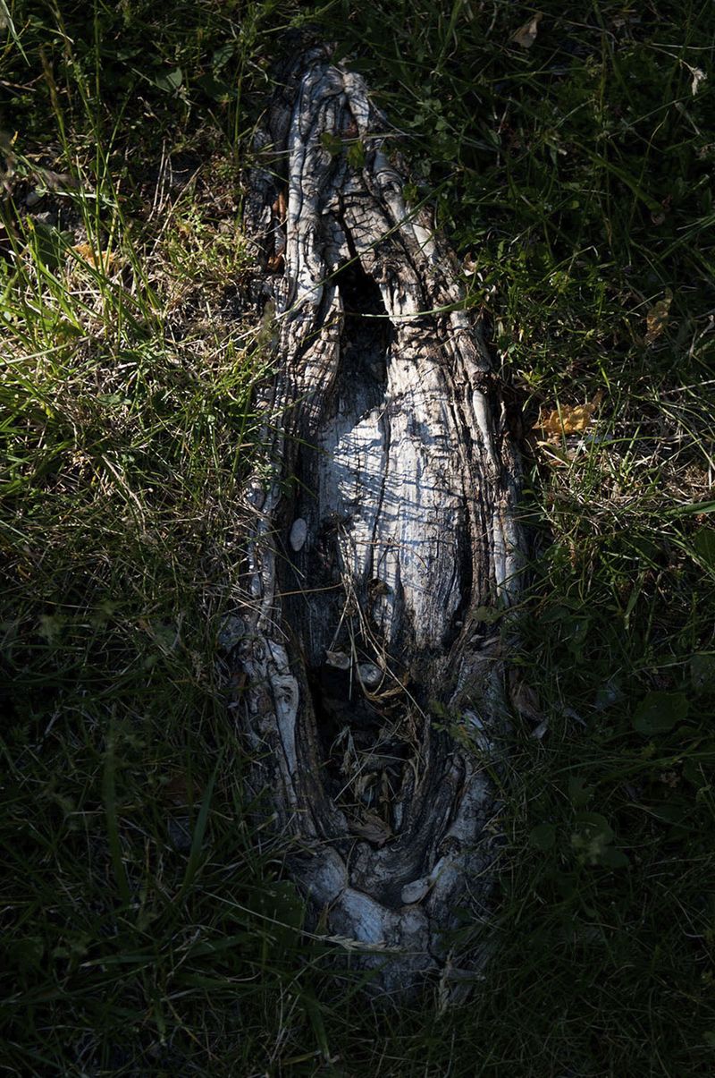© Caterina Sansone - Image from the The quality of dreams photography project