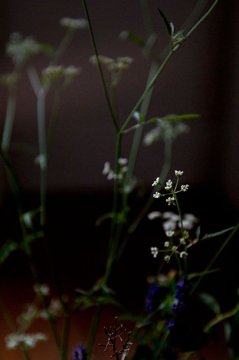 © Caterina Sansone - Image from the The quality of dreams photography project