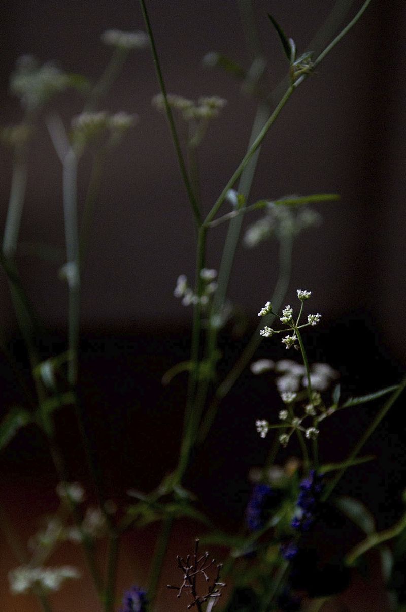 © Caterina Sansone - Image from the The quality of dreams photography project